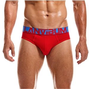 Mens Hip Briefs